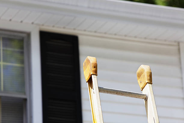 Best Insulated Siding Installation  in Osceola, WI